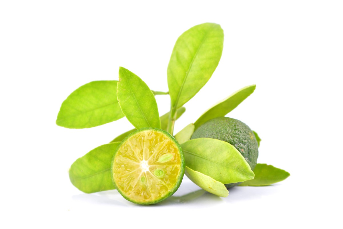 Barth Fruit Calamansi (Kalamansi)